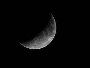 Moonhalf